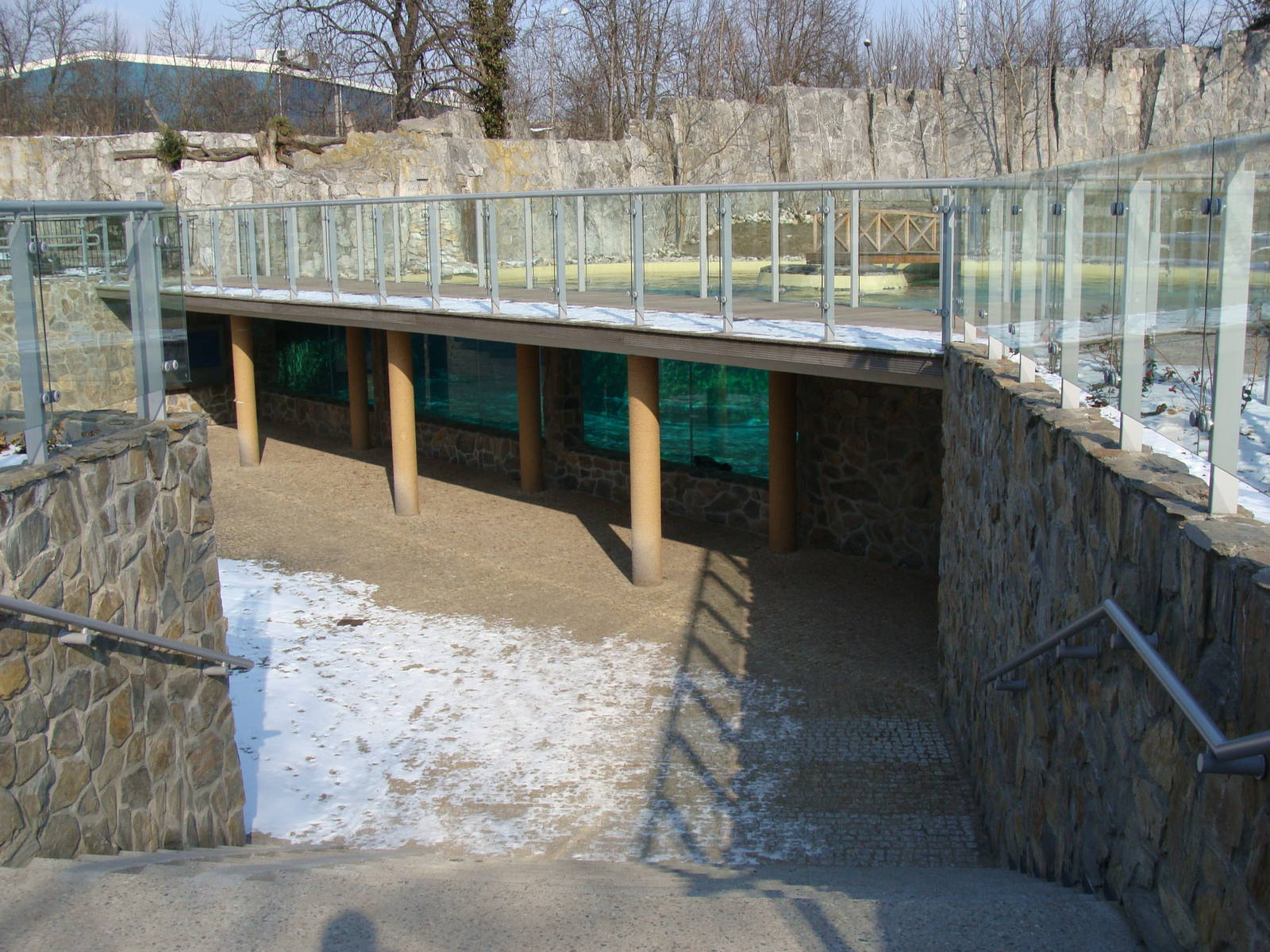 Zoo Wrocław - Basin of seal