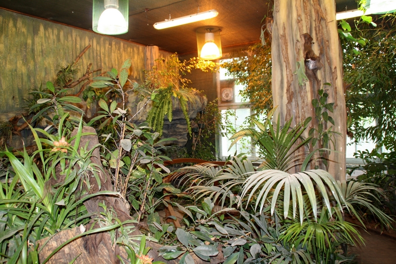 Zoo Wrocław - Butterfly pavilion