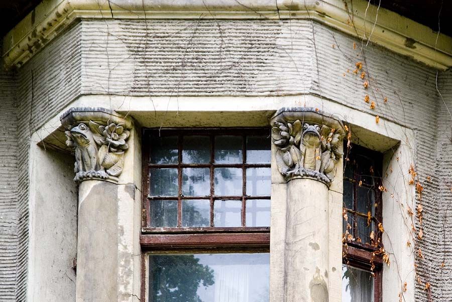 Zoo Wrocław - frogs