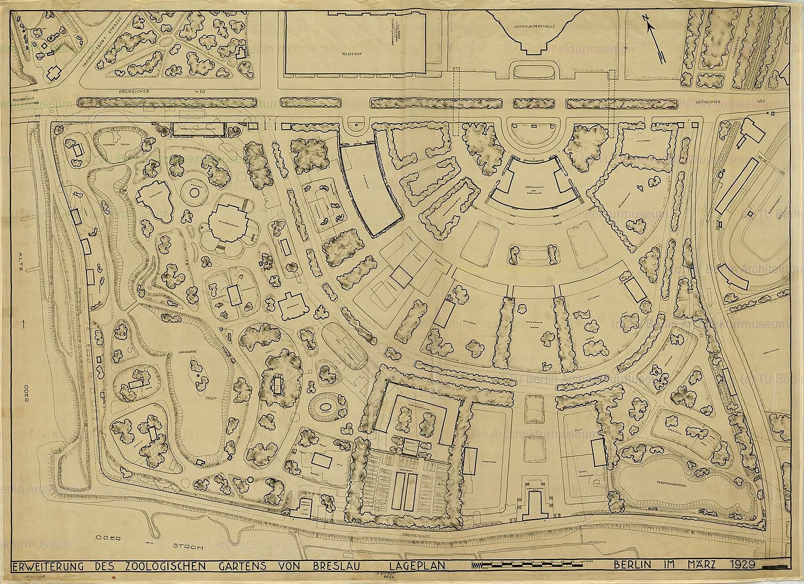 Zoo Wrocław - plan 1929