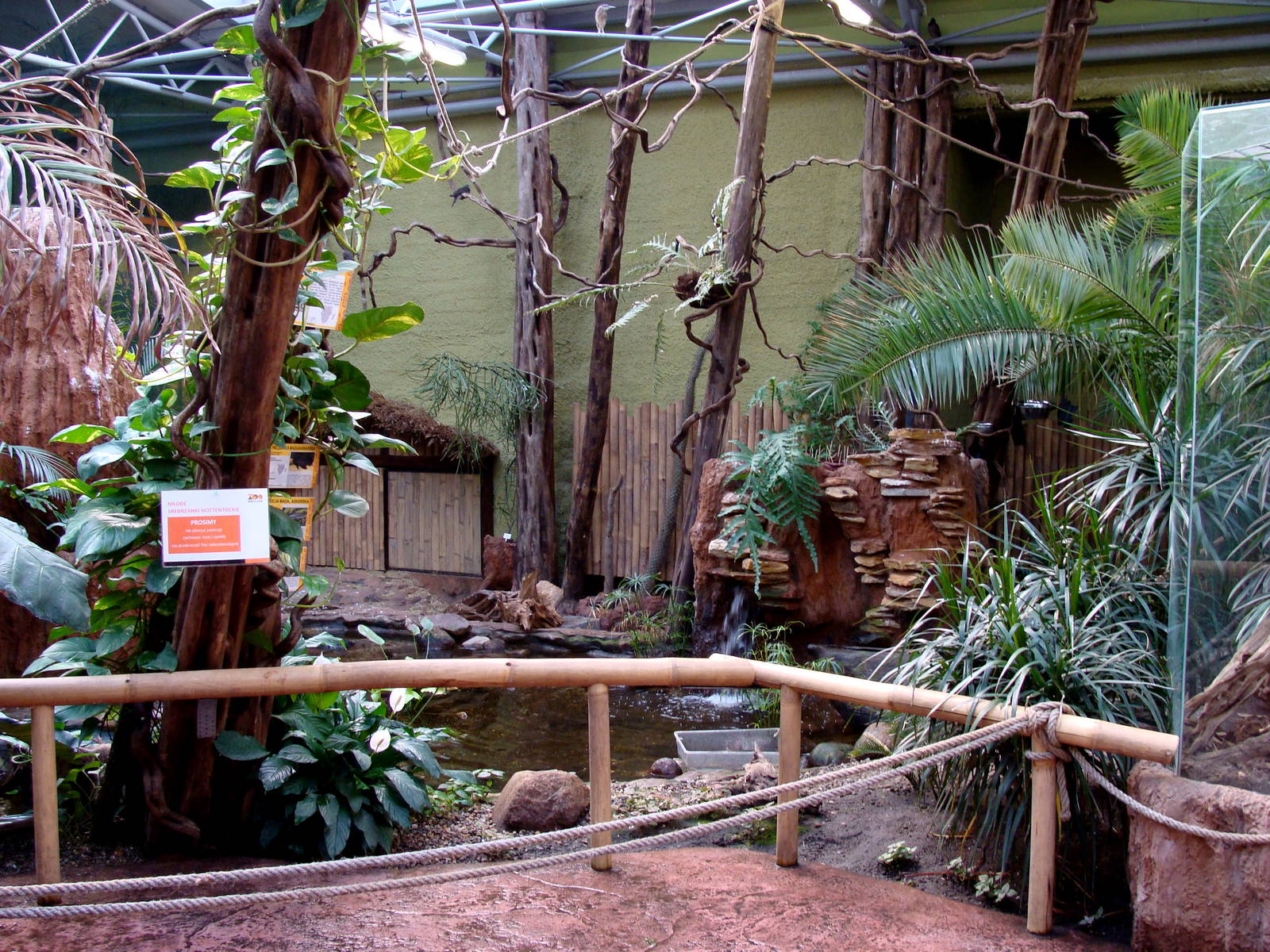 Zoo Wrocław - z pawilonu Madagaskar