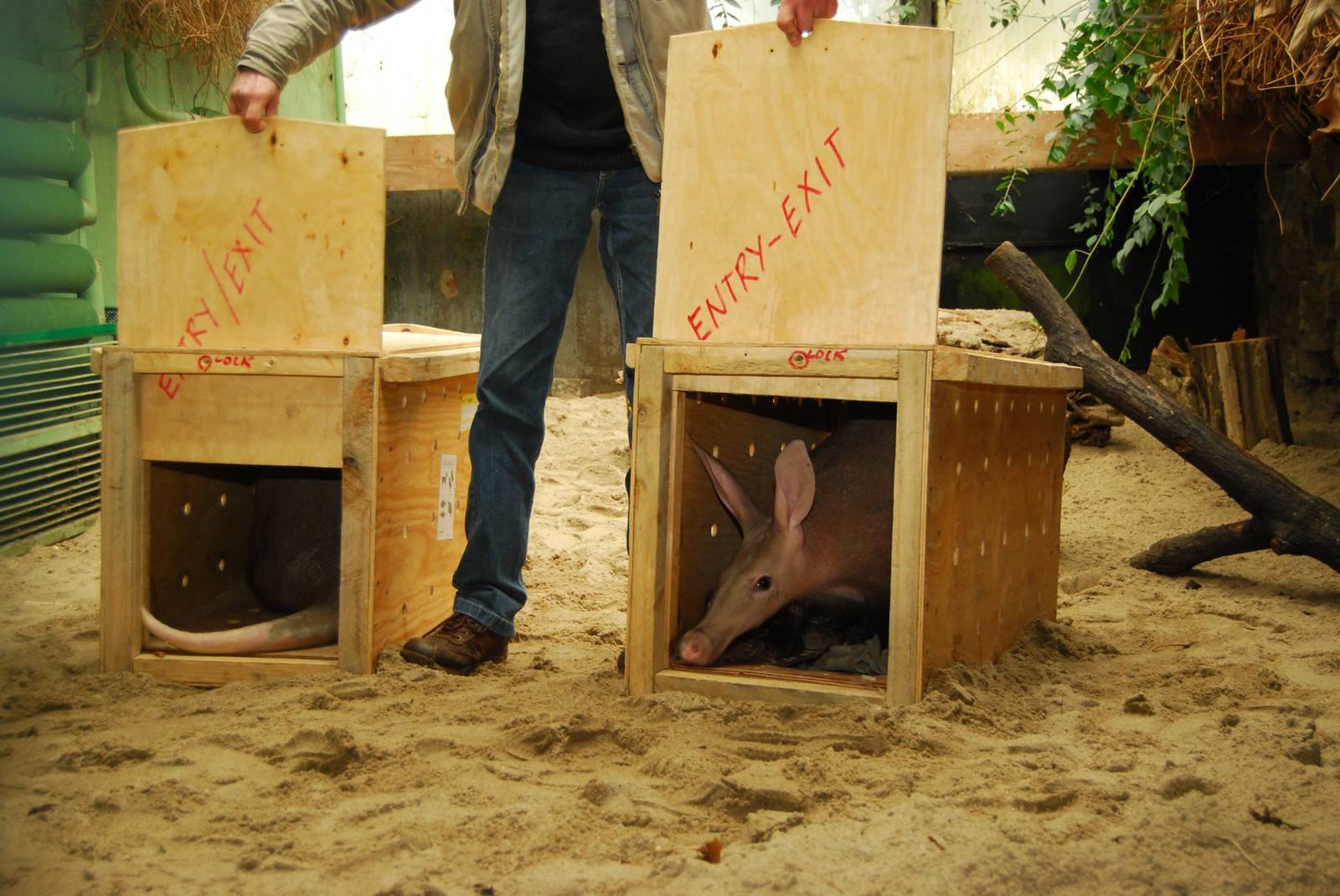 Zoo Wroclaw New Arrivals