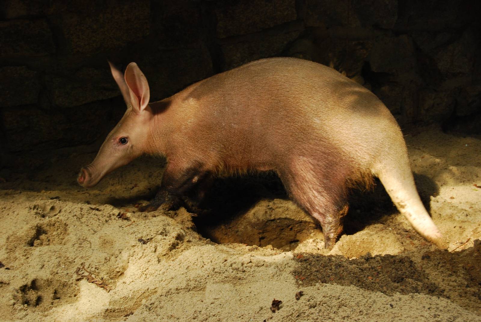 Zoo Wroclaw New Arrivals