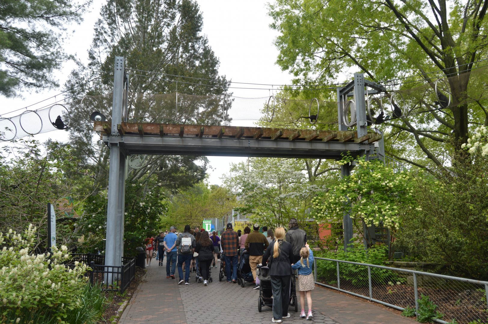 Zoo360 Trails - Francois' Langur (Trachypithecus francoisi)