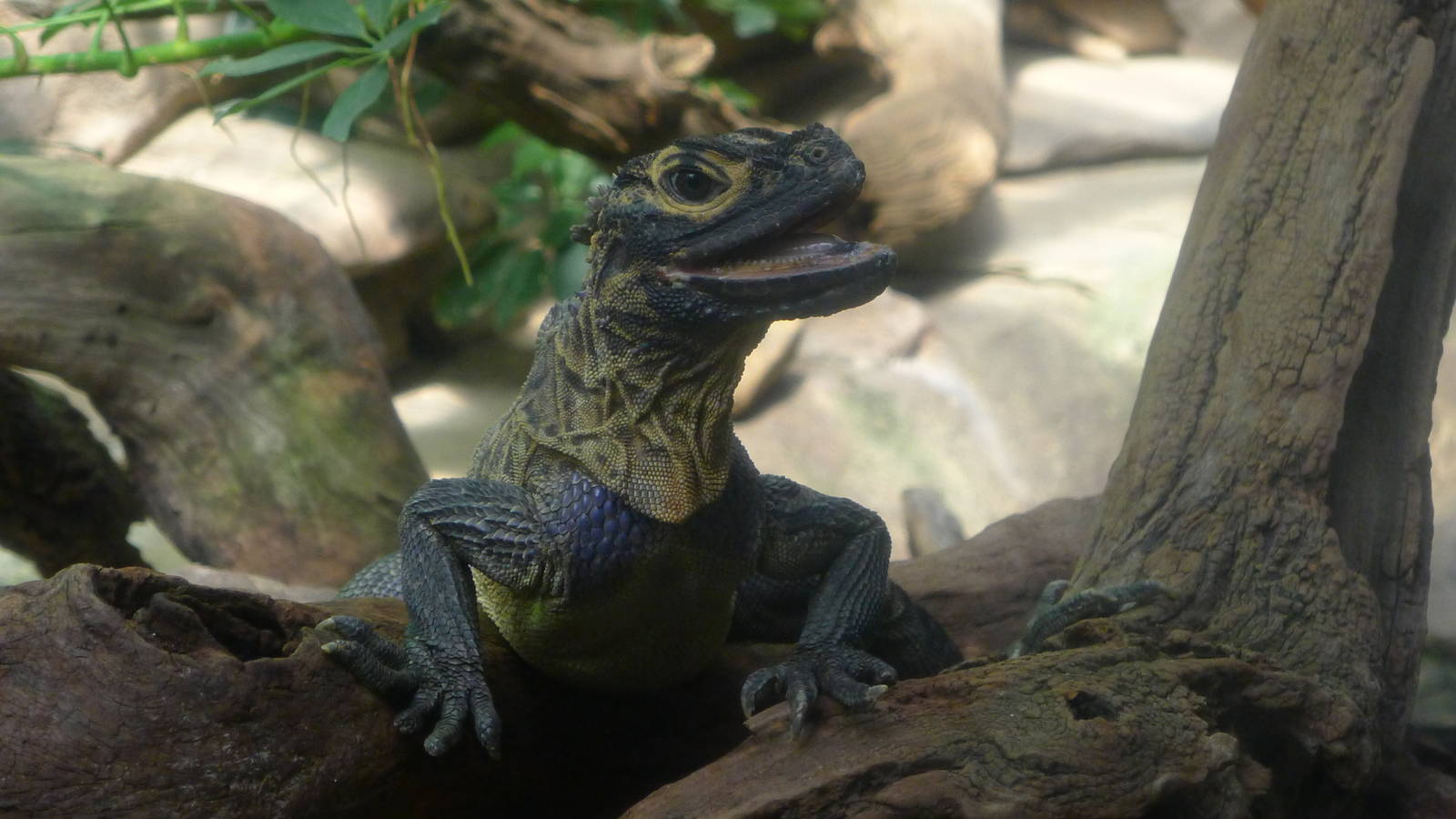 zoo_trip_with_papa_140