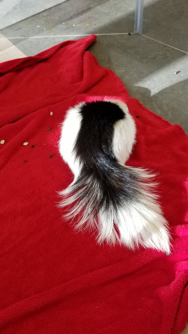 ZooAmerica - a very fancy tail
