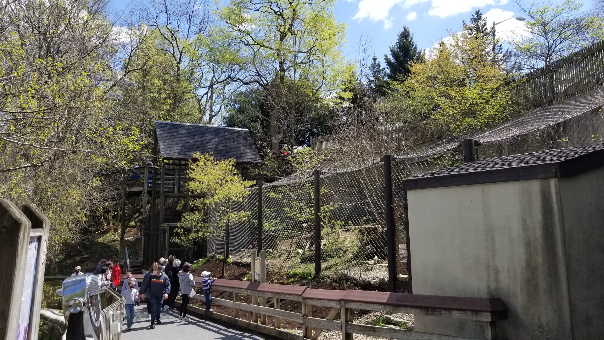 ZooAmerica - American marten, canada lynx