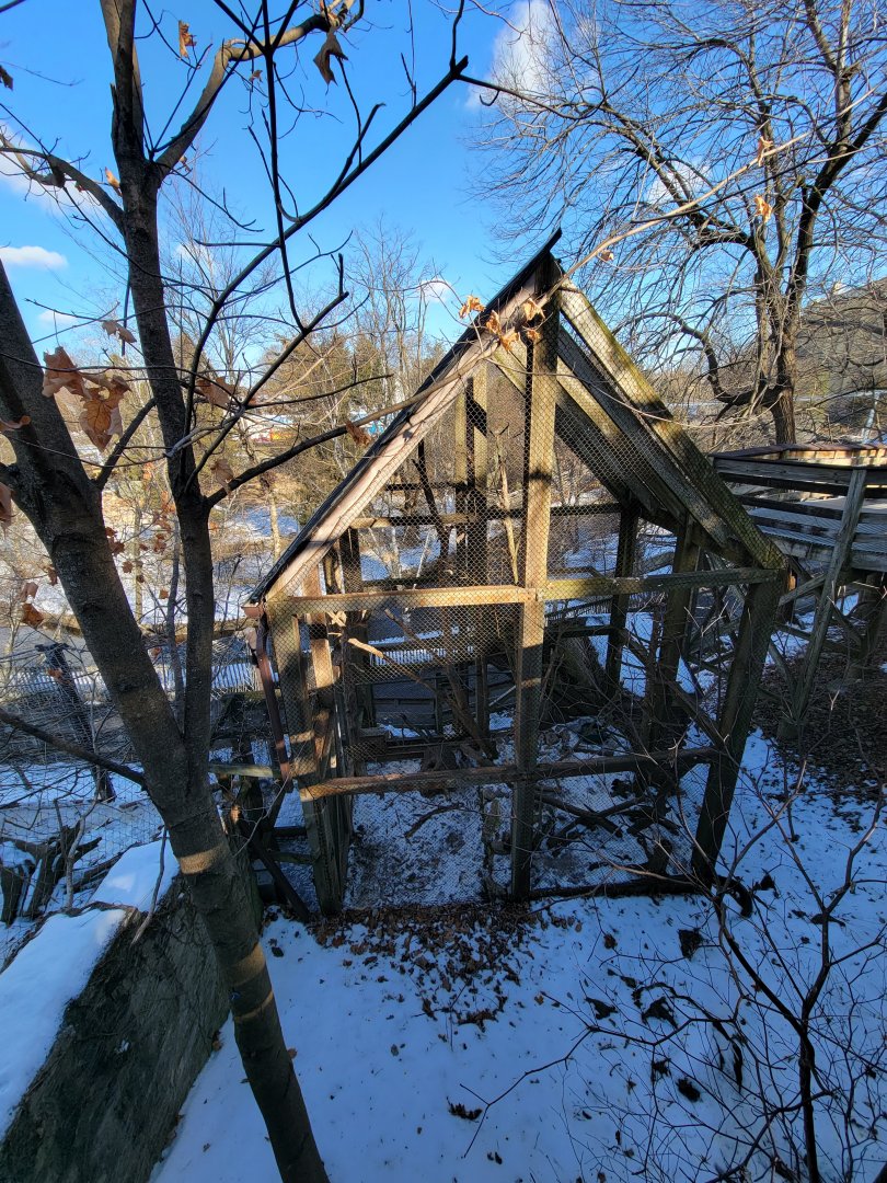 ZooAmerica - American marten from above