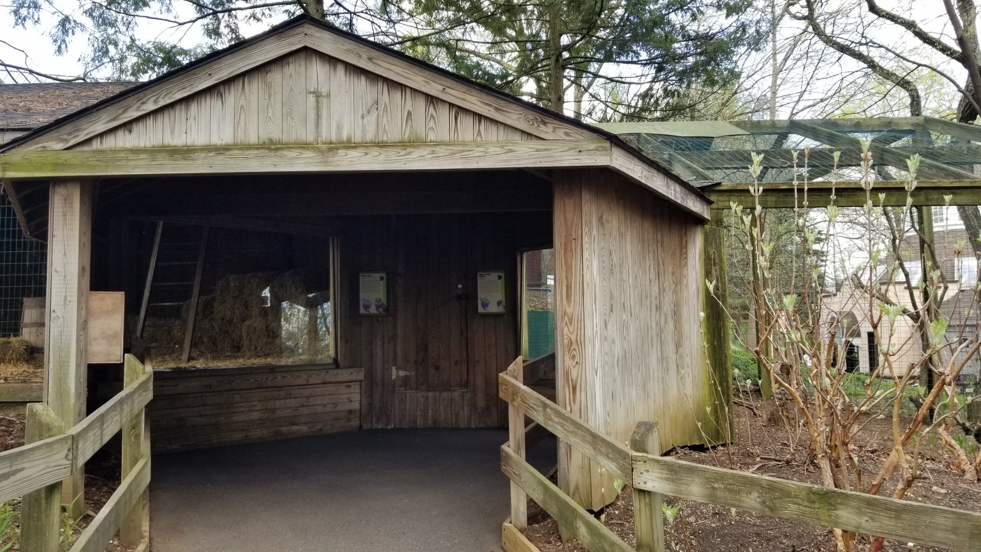 ZooAmerica - Barn Owl, Red-tailed Hawk