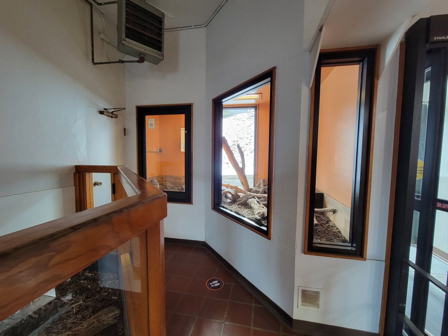 ZooAmerica - Beaded lizard exhibit