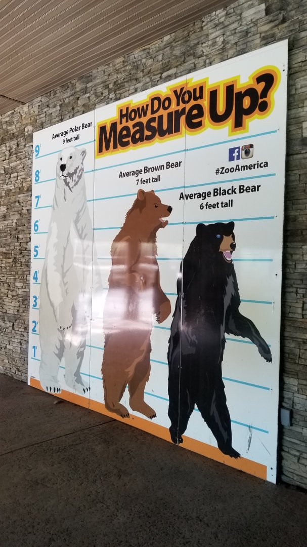 ZooAmerica - Bear height sign