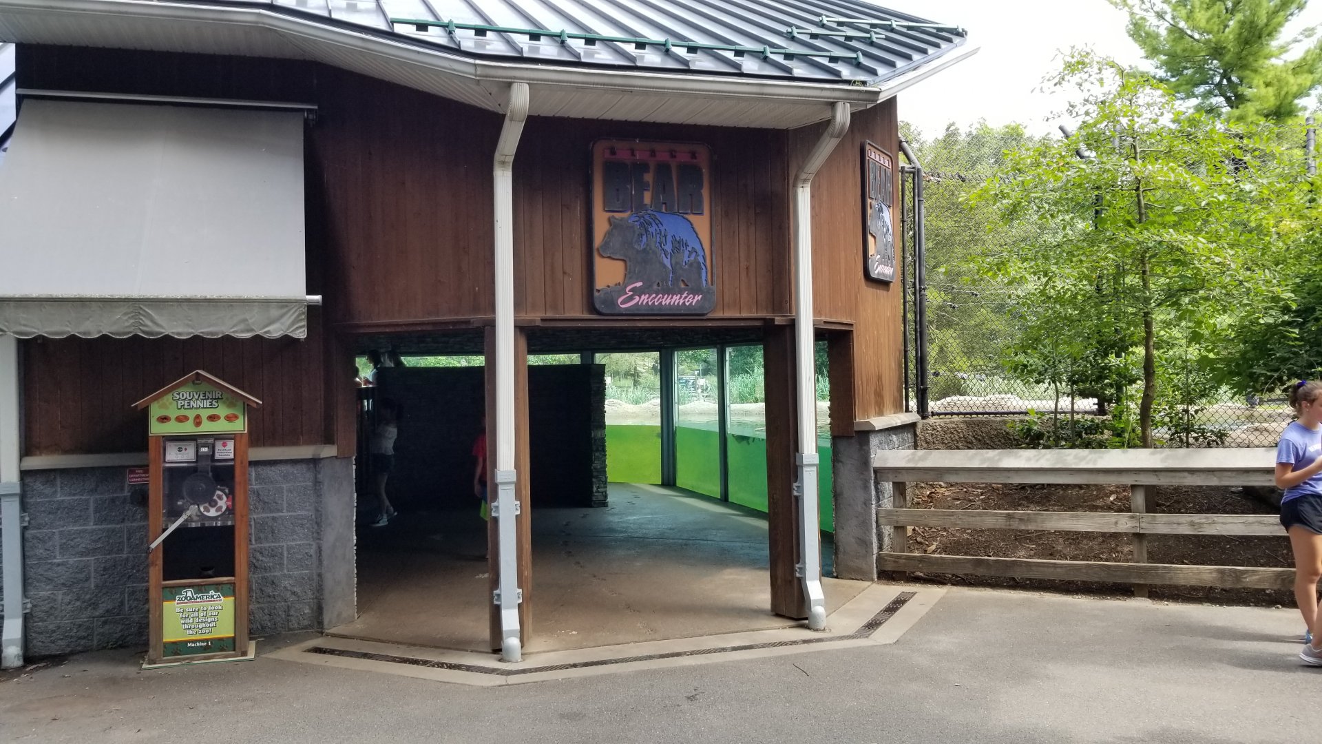 ZooAmerica - Black Bear glass viewing