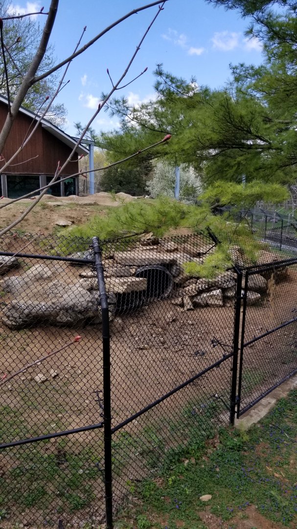 ZooAmerica - Black bear hiding spot