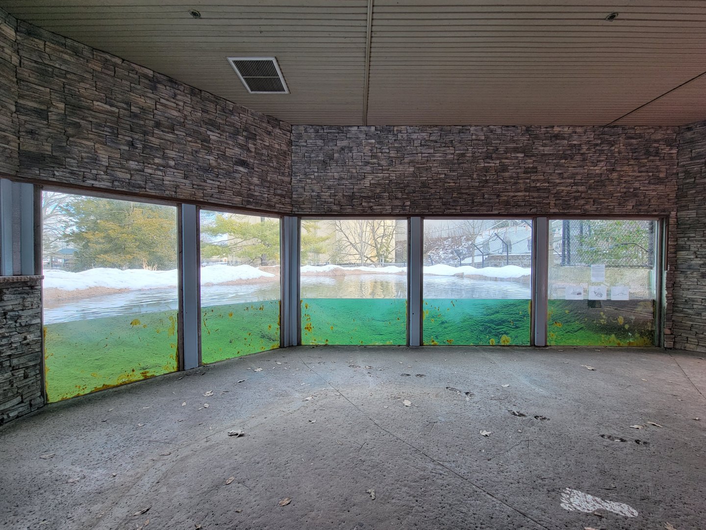 ZooAmerica - Black bear pool viewing windows