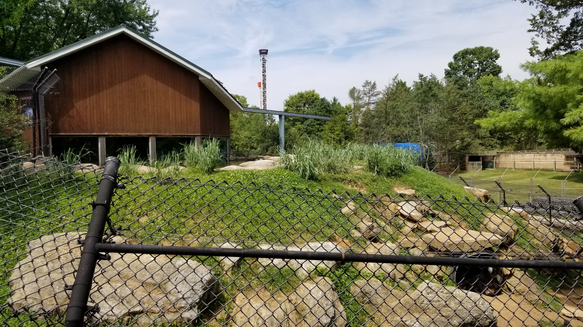 ZooAmerica - Black bears