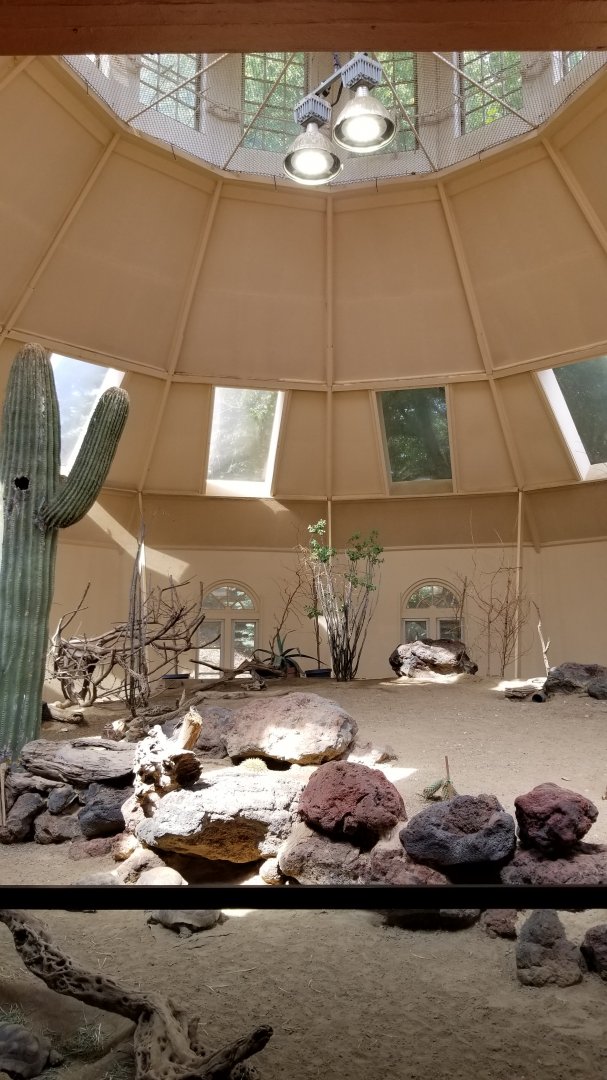 ZooAmerica - Burrowing Owl, Gambel's Quail, Roadrunner, Desert Tortoise