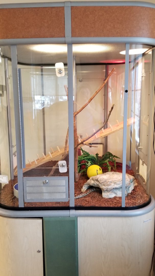 ZooAmerica - Desert Kingsnake, education building