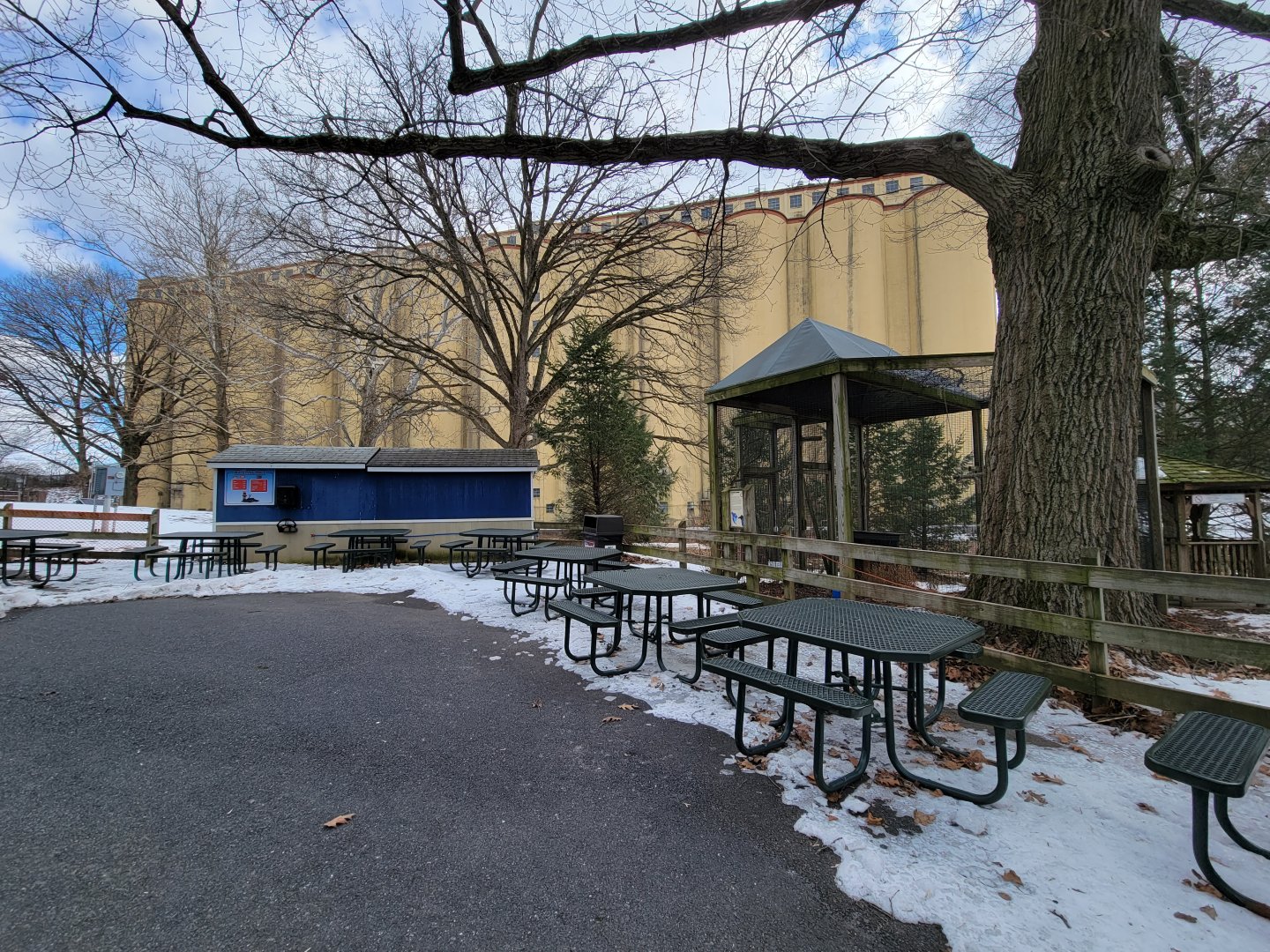 ZooAmerica - Extra food stand, common raven