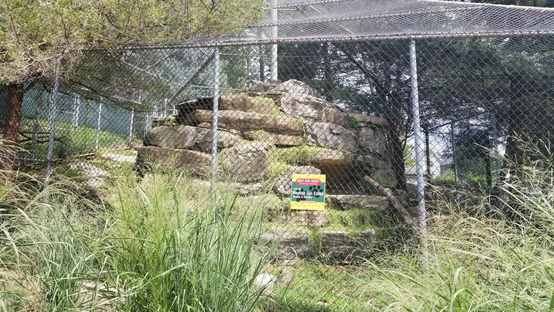 ZooAmerica - Front view of cougar exhibit