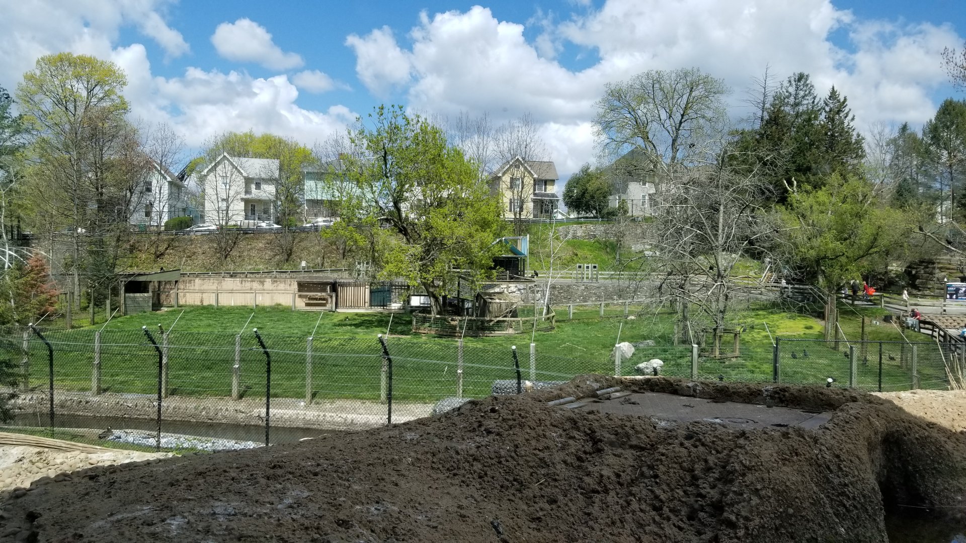 ZooAmerica - Full pronghorn exhibit
