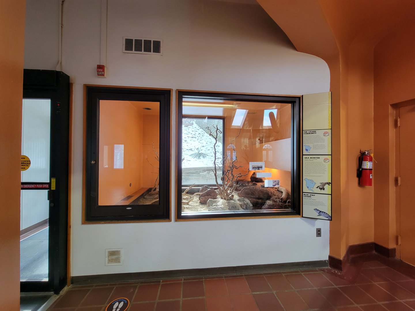 ZooAmerica - Gila monster exhibit