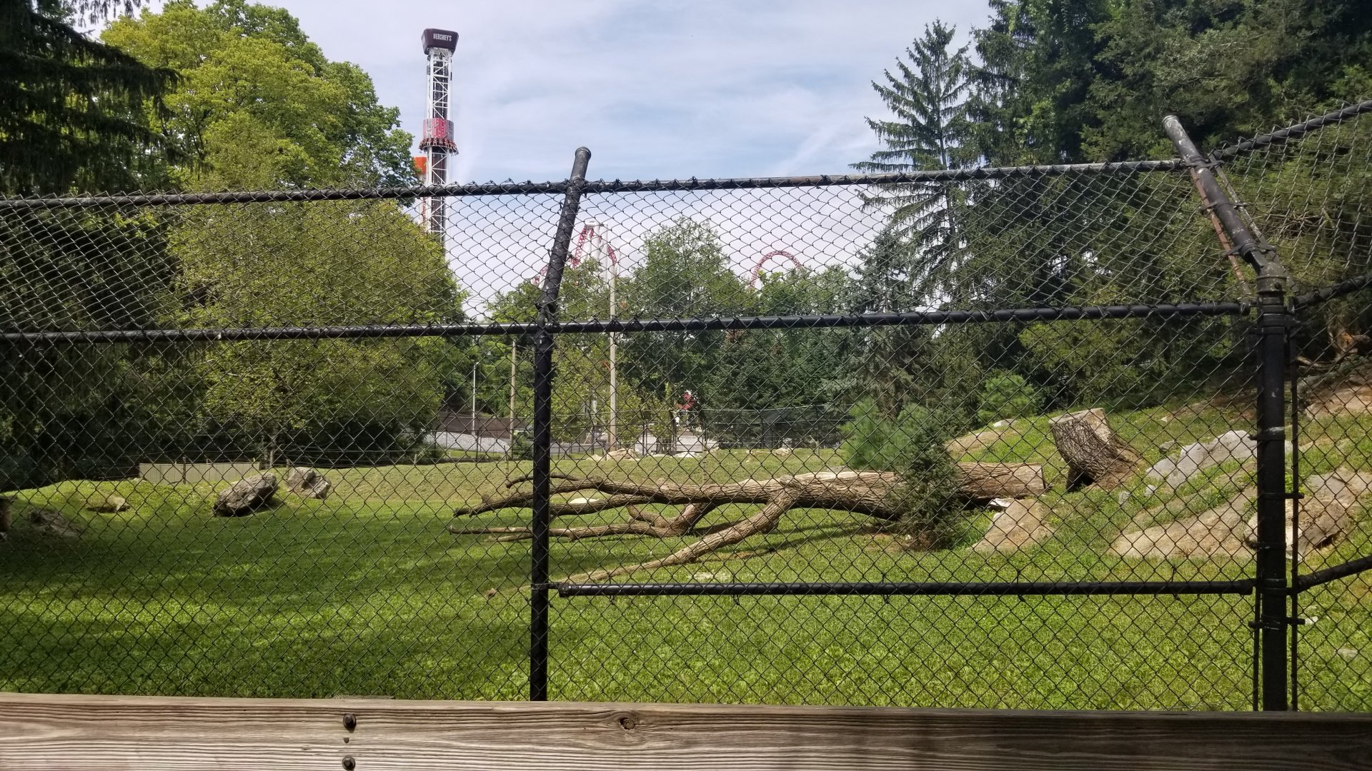 ZooAmerica - Gray wolves exhibit