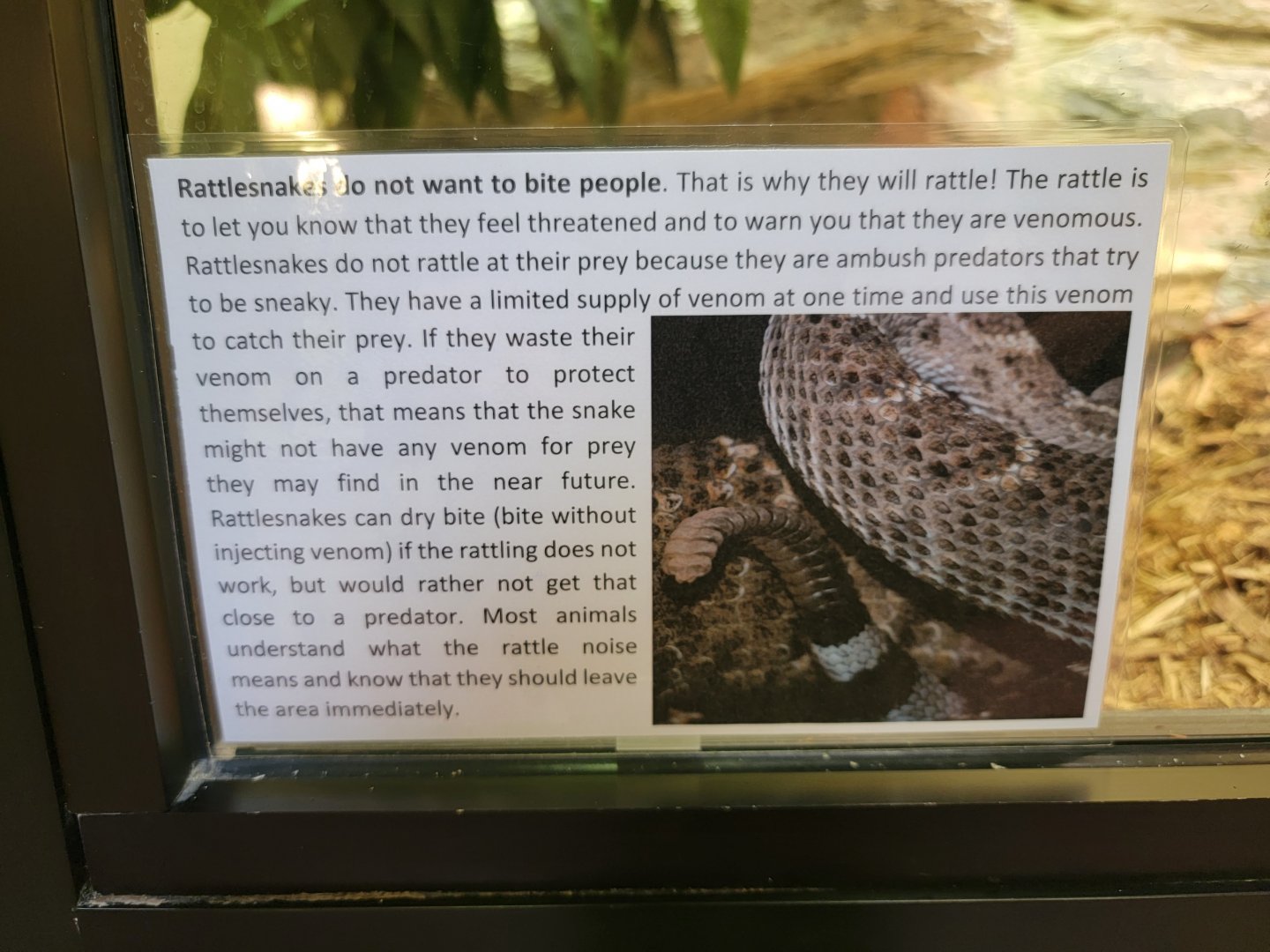 ZooAmerica - New laminated signs are up on some exhibits