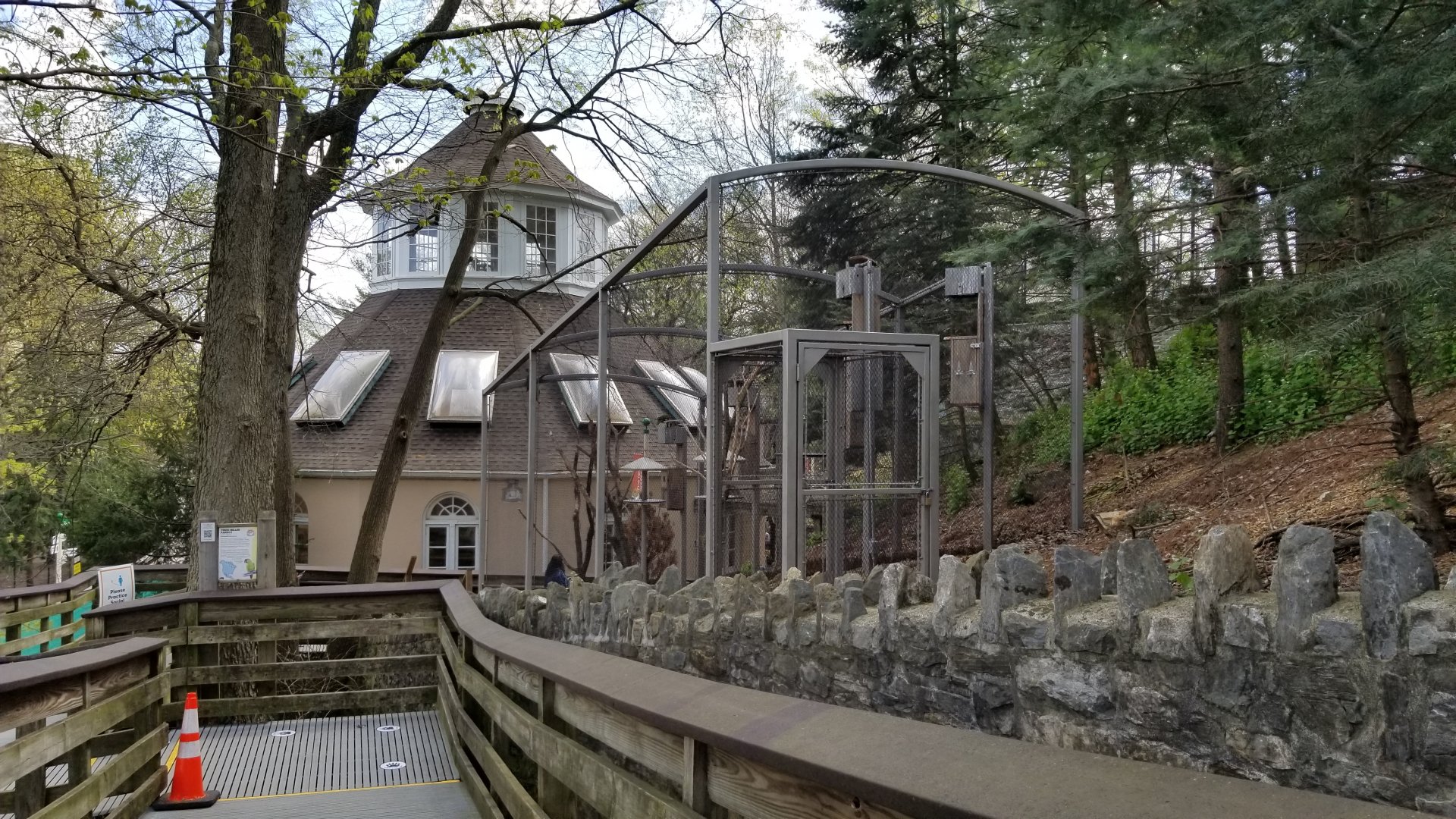 ZooAmerica - New Thick-billed Parrot exhibit
