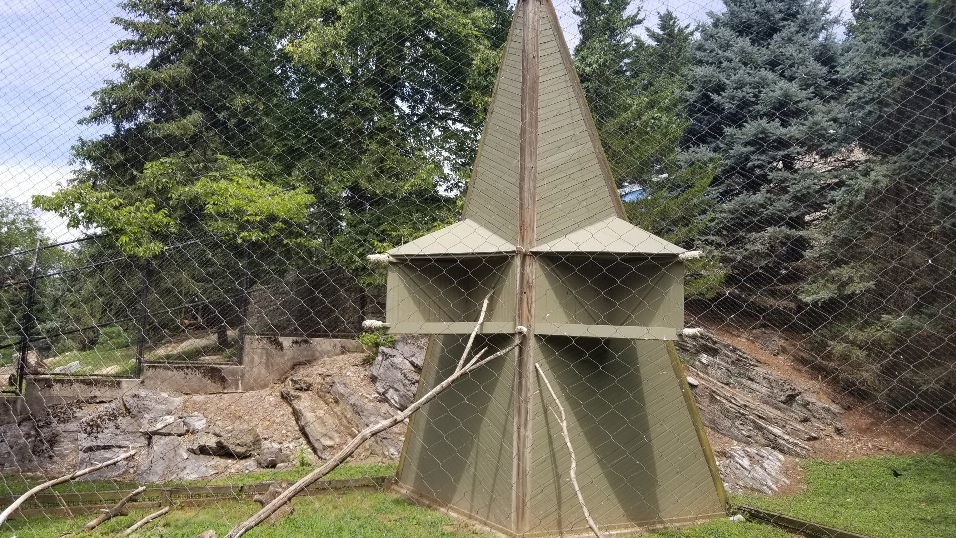 ZooAmerica - Peregrine falcon exhibit