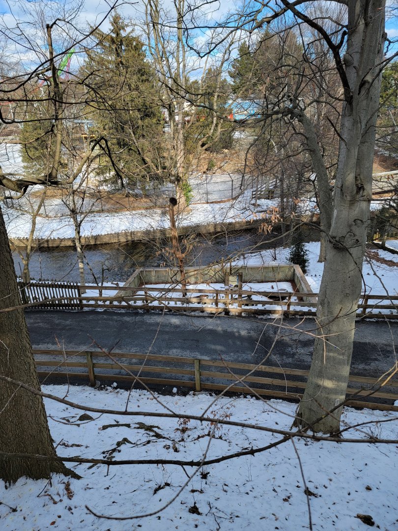 ZooAmerica - Porcupines from above