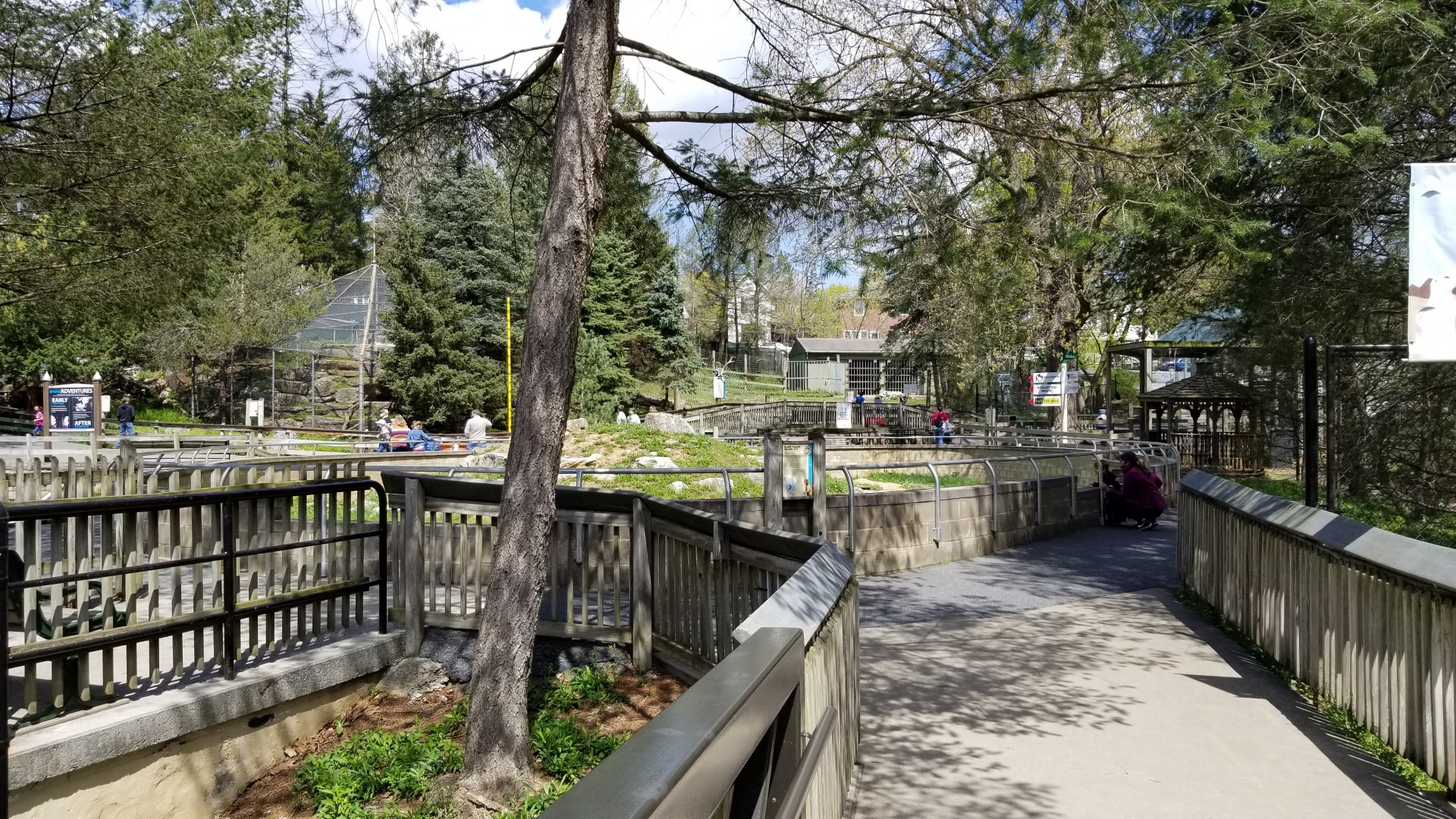 ZooAmerica - Prairie Dogs