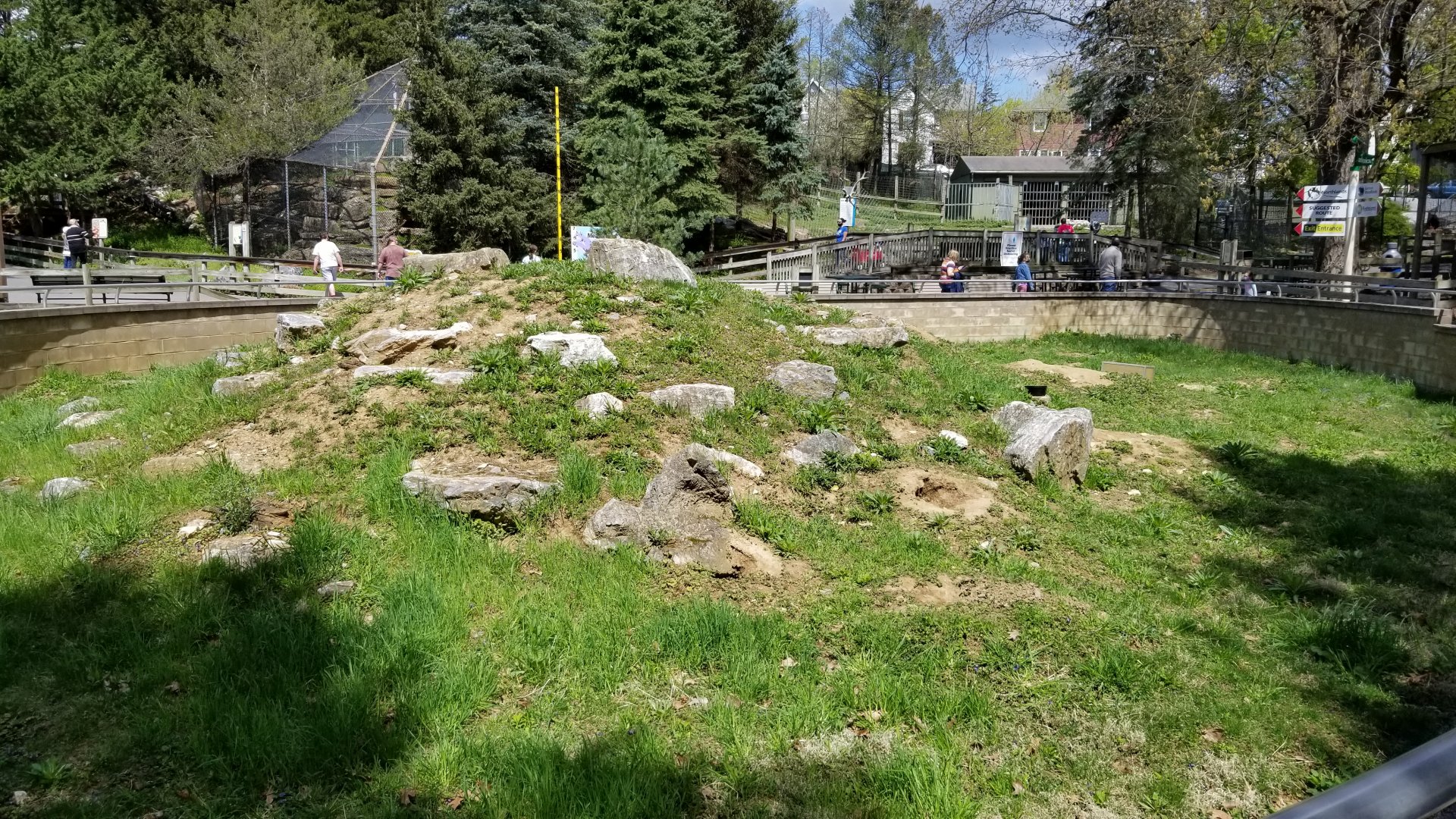 ZooAmerica - Prairie dogs