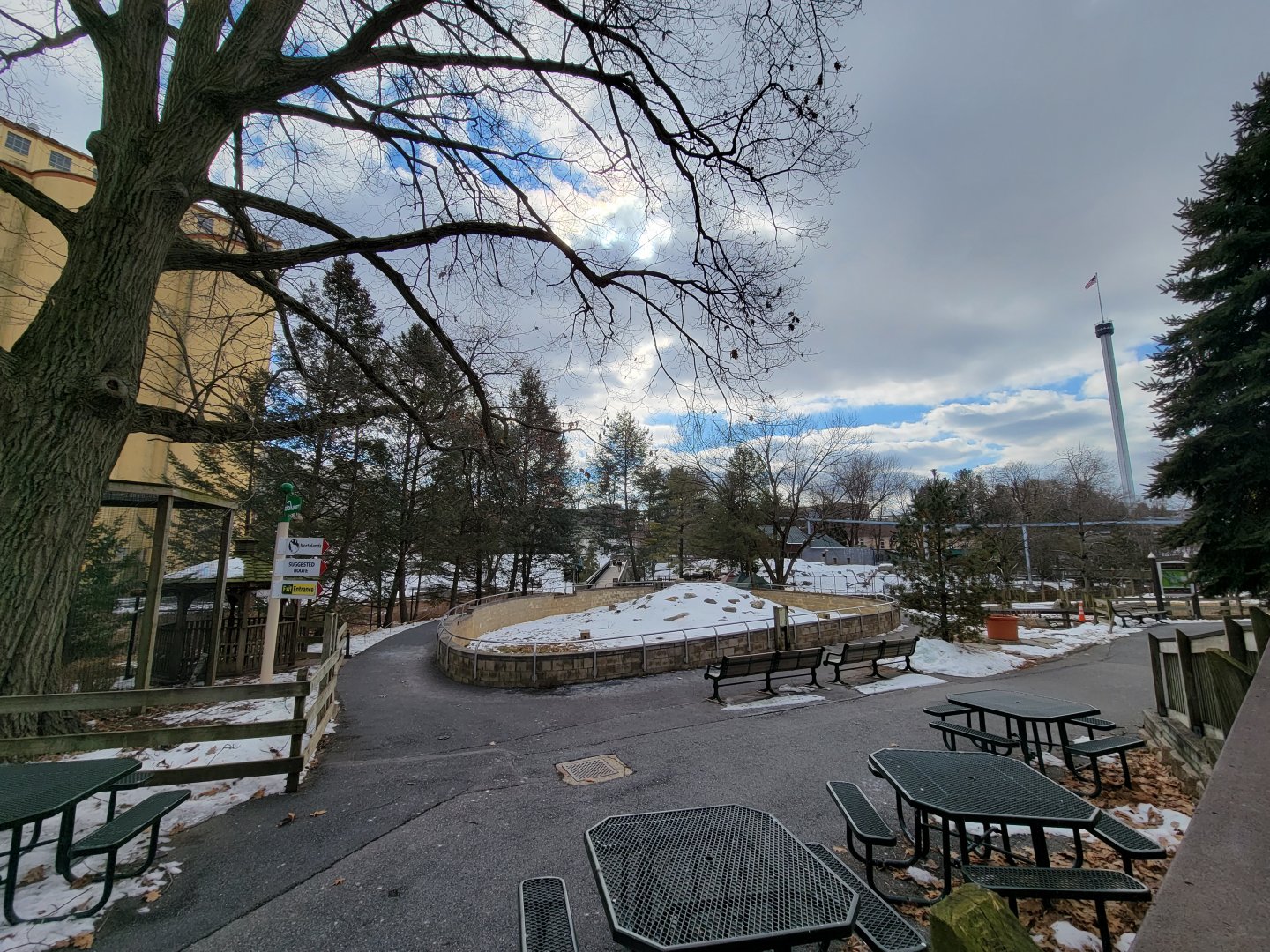 ZooAmerica - Prairie dogs