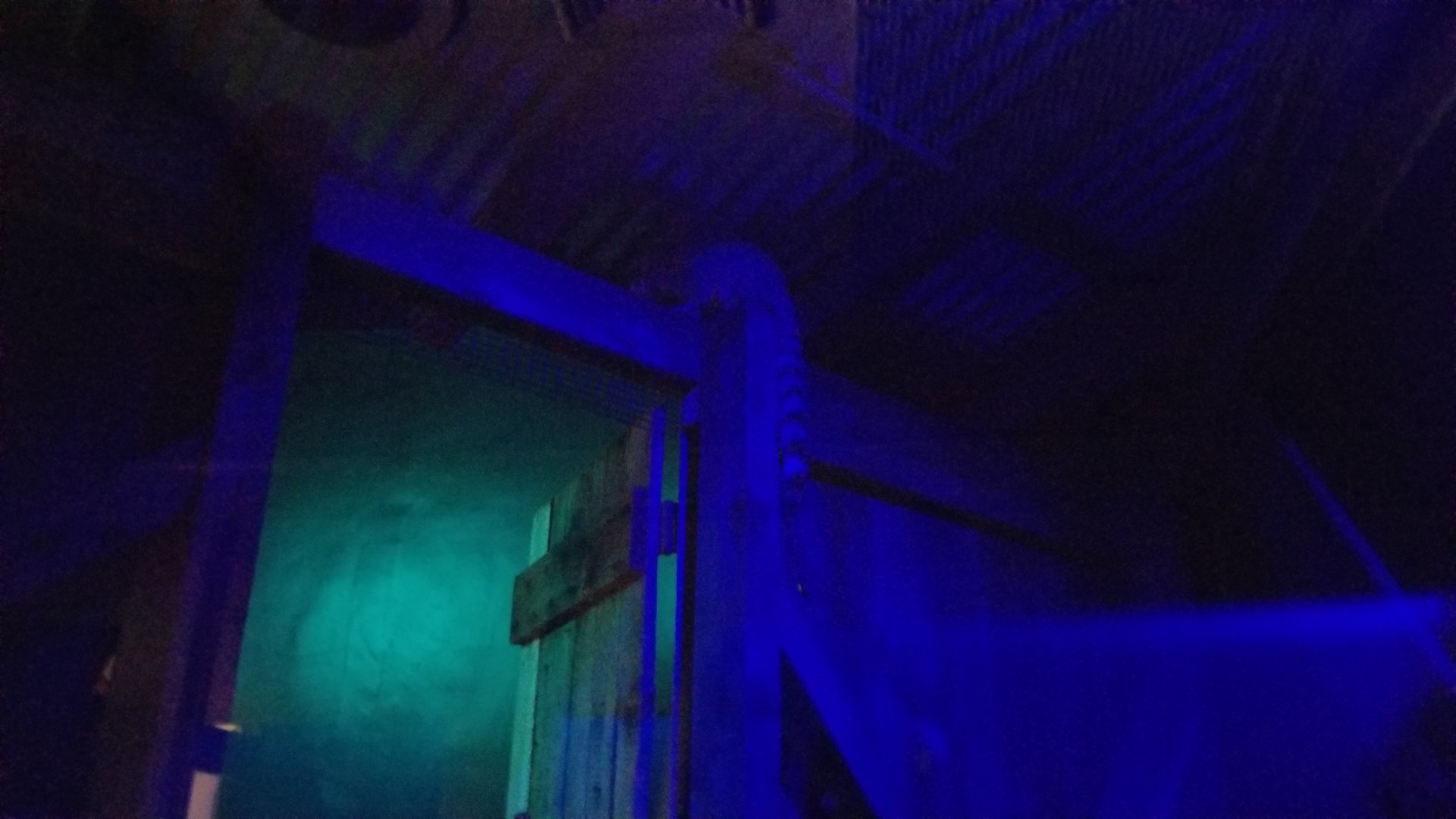 ZooAmerica - Ringtail