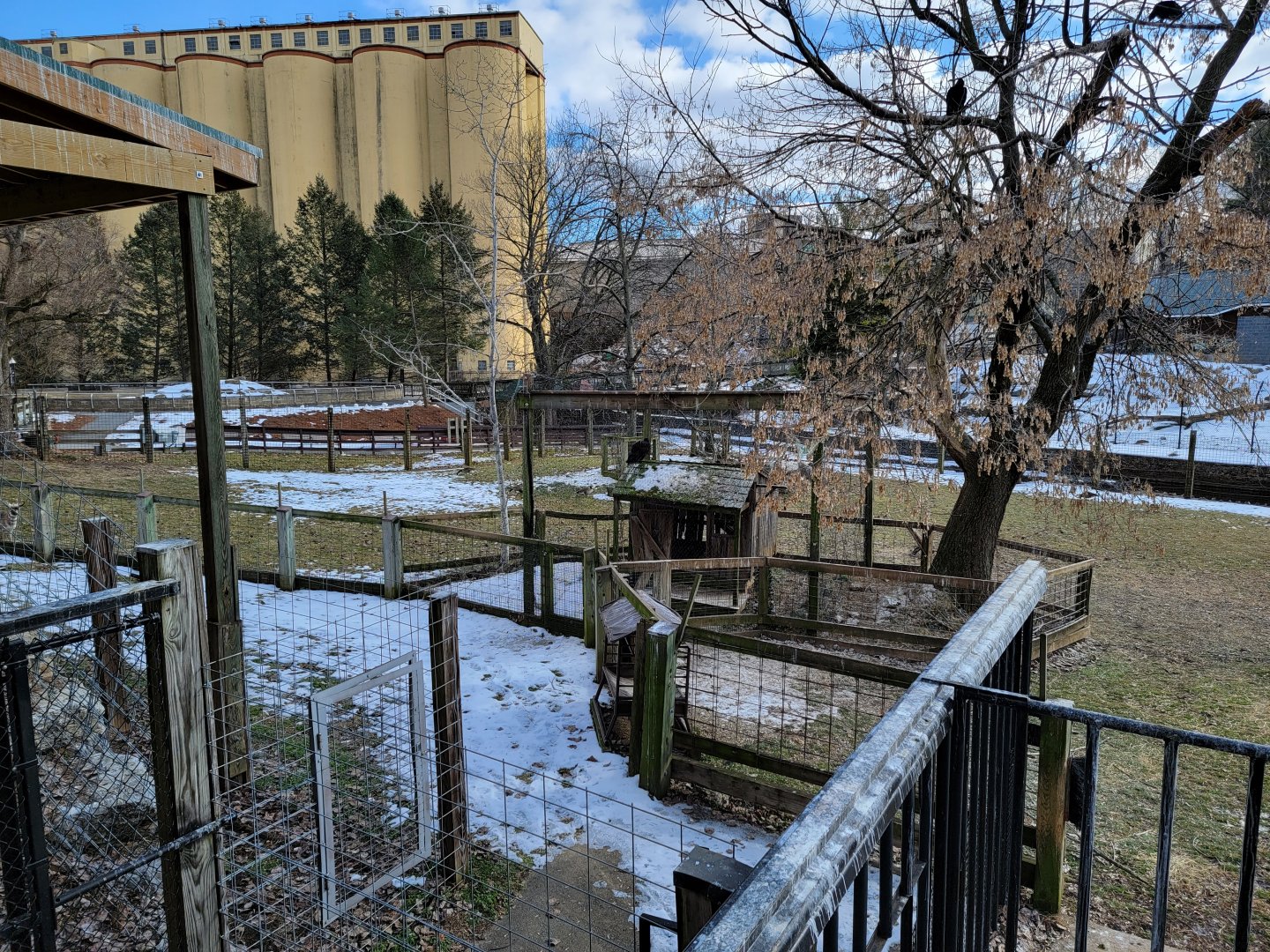 ZooAmerica - Turkey vulture exhibit in pronghorn yard
