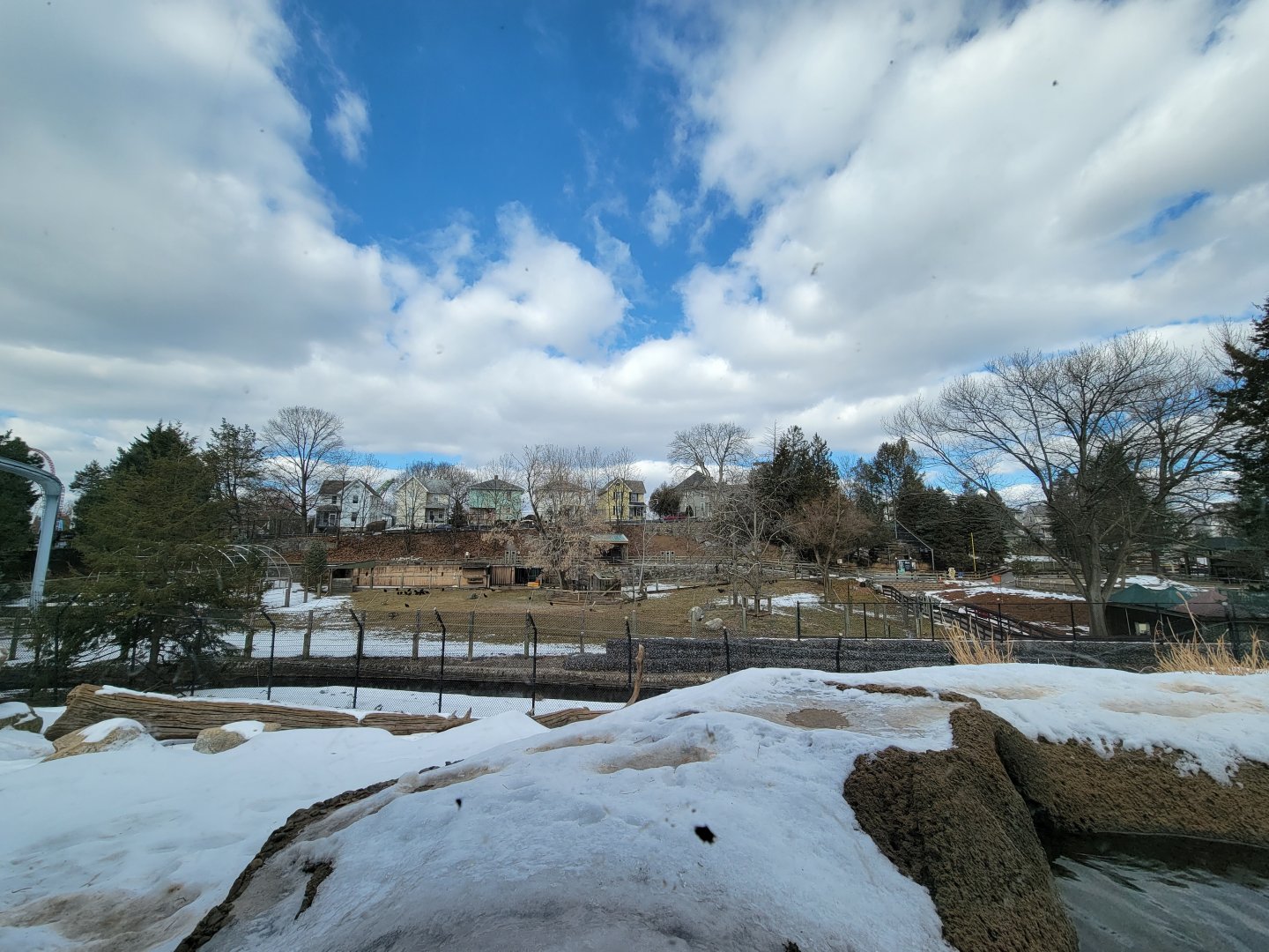 ZooAmerica - View of entire pronghorn exhibit