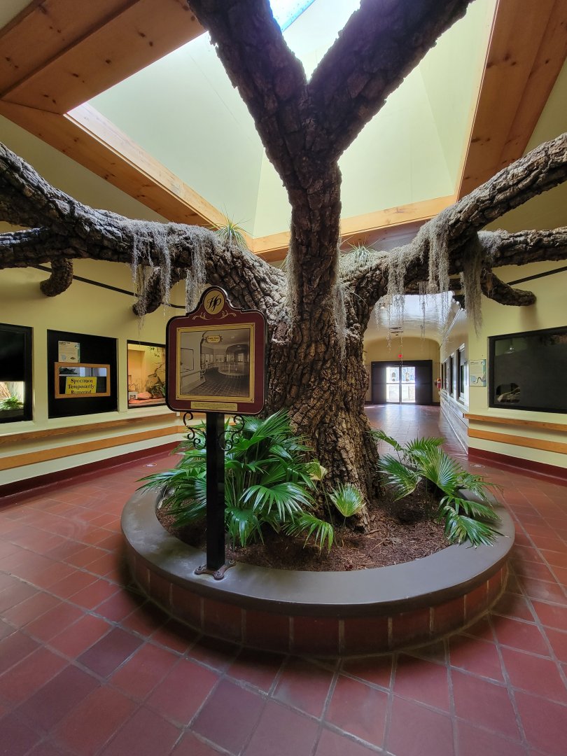 ZooAmerica - Where the alligator pit used to be