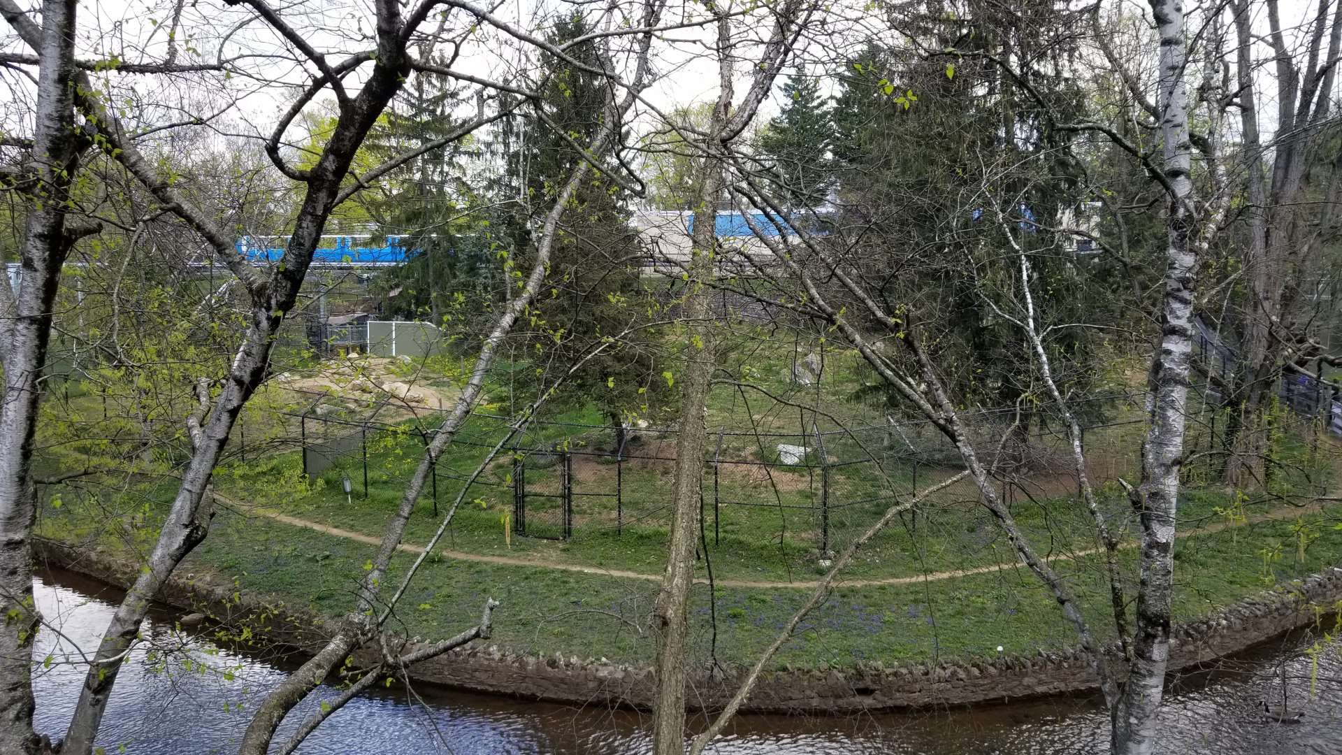 ZooAmerica - Wolf exhibit from above/across stream