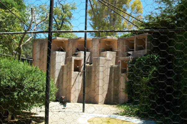 Zoobotanico Jerez (2009)