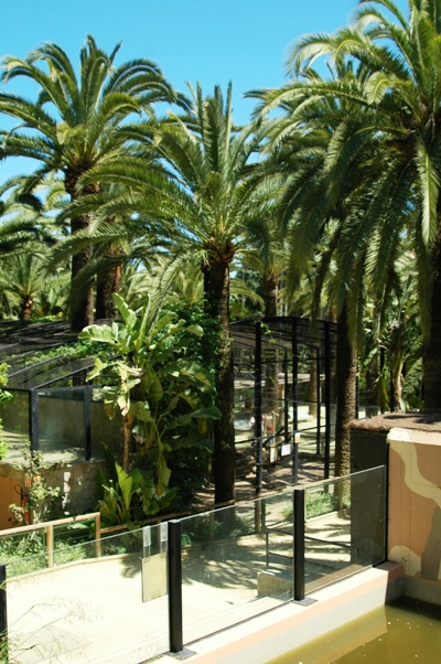 Zoobotanico Jerez (2009)