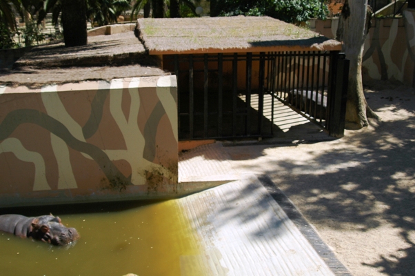 Zoobotanico Jerez (2009)