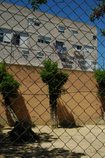 Zoobotanico Jerez (2009)