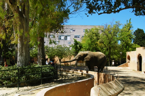 Zoobotanico Jerez (2009)