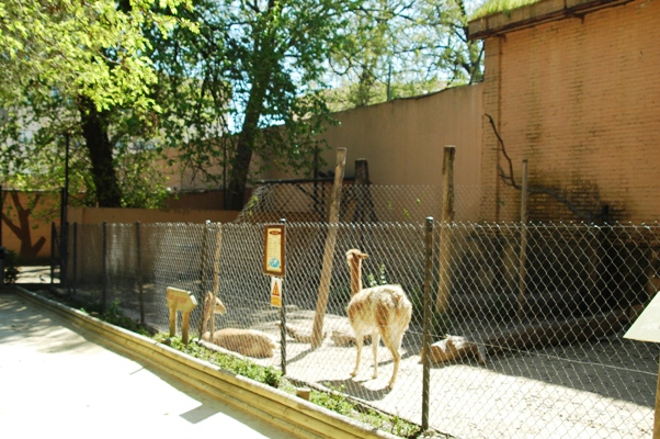 Zoobotanico Jerez (2009)