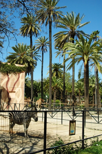 Zoobotanico Jerez (2009)