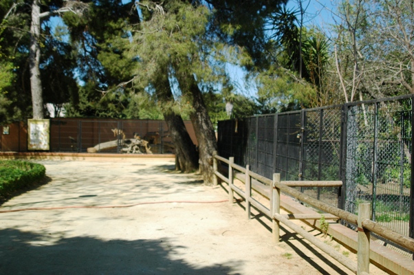 Zoobotanico Jerez (2009)