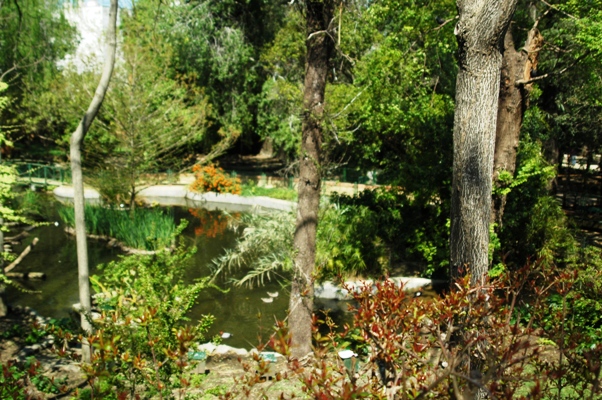 Zoobotanico Jerez (2009)