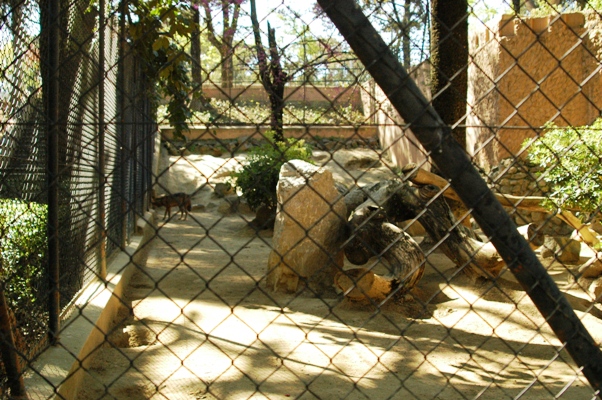 Zoobotanico Jerez (2009)