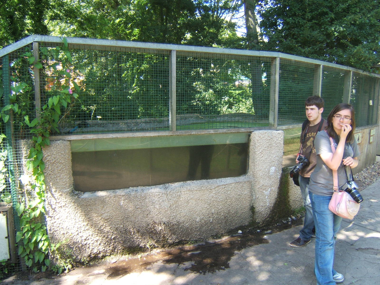 Zoochatters and Otter under water viewing