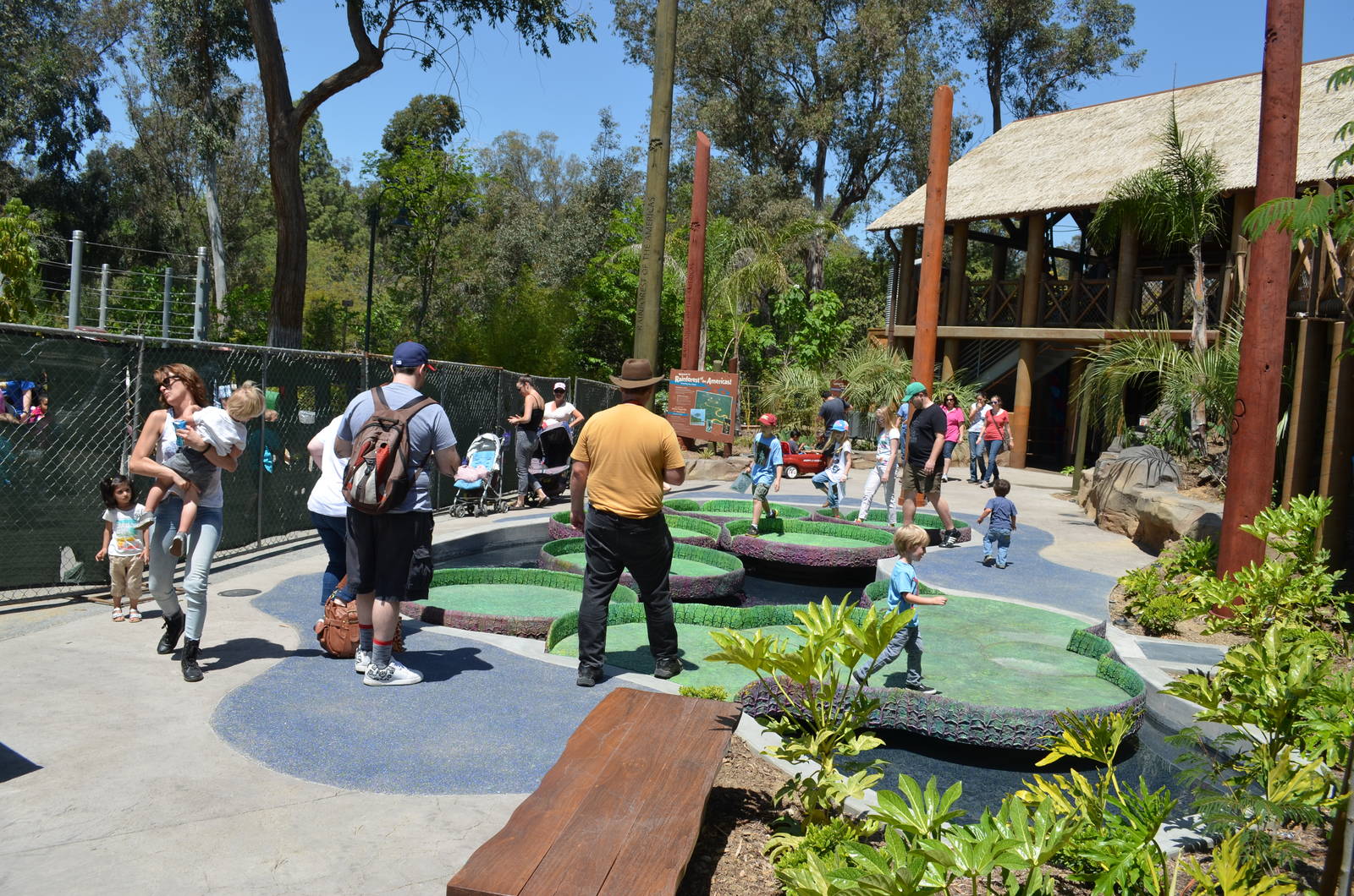 ZooChatters Taking The Big Step